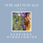Ni de aquí ni de allí